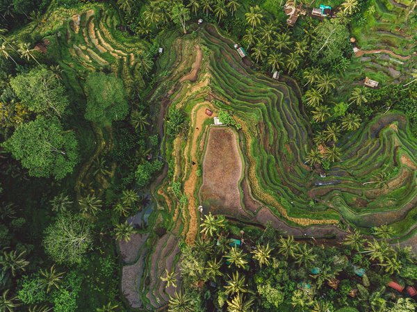 Où faire une retraite de yoga en Bali, Indonésie ?